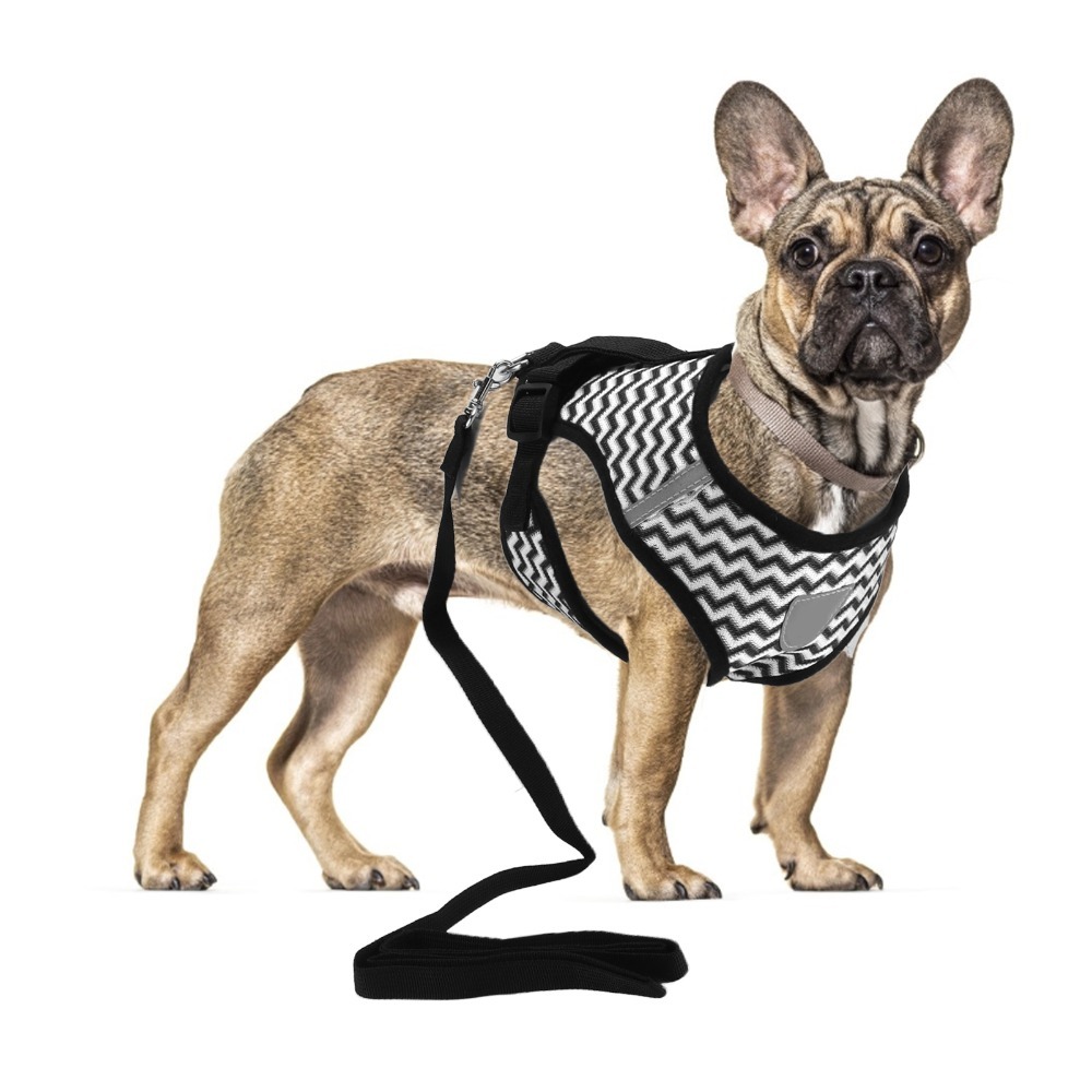Mesh Fabric Pet Harness Set I- - Fabric Weight Set review and price